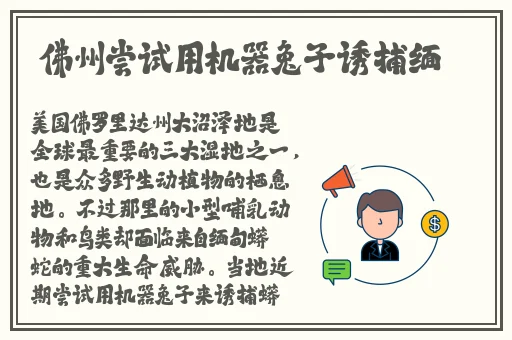 99精品乱码无人区1区2区3区