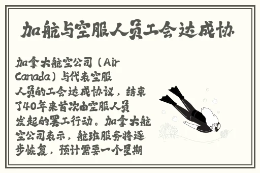 欧美最爽的乱婬视频婬色视频